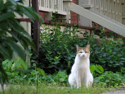 The haves (on the right) and the have-nots (on the left) -- although neither has air conditioning.