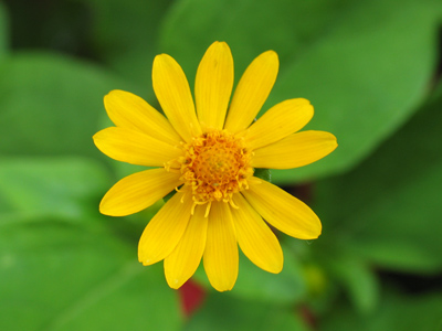 A little rain never hurt anybody.