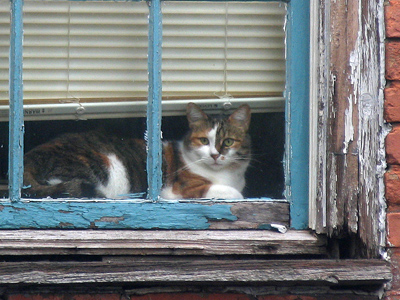 Sure I despise them, but they make for good pictures.