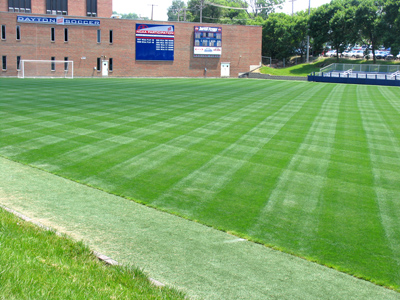 A perfectly-manicured soccer field is not cheap to maintain.  That`s some kid`s full scholarship down there.