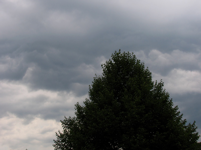 Gather ye photos while ye may, it`s gonna be a nasty day.