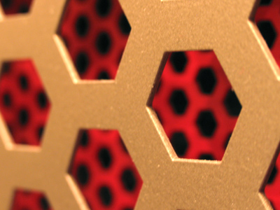 Where honey comes from.