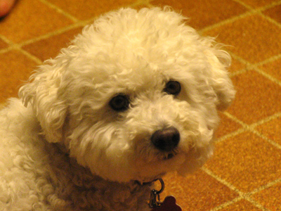 After an abundance of photos yesterday, I came alarmingly close to not taking any at all today.