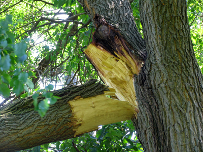 Zap crackle and pop.