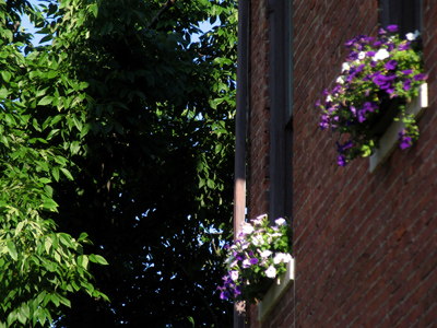 Taking pictures in the morning:  I remember doing that.