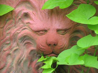 He looks a bit cross-eyed to me.