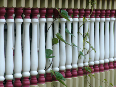 Irrepressible nature (see April 16, 2006).