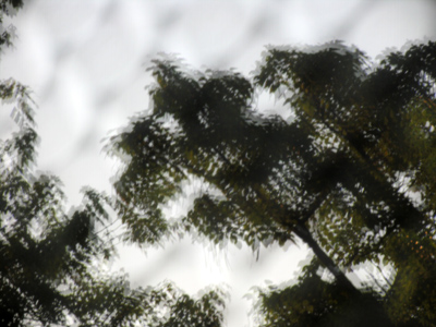 Now we see through a pizza tray darkly . . . 