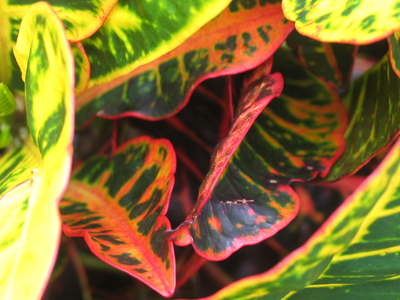 This picture leaves me unsatisfied.