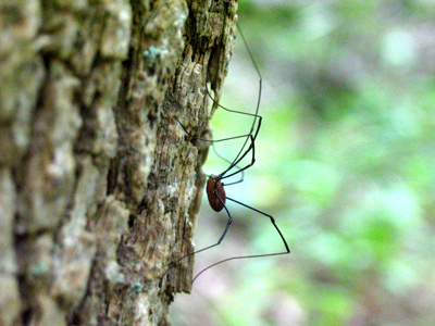 You have my permission to shudder.