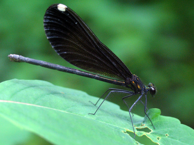 Society puts too much pressure on everyone to be thin.