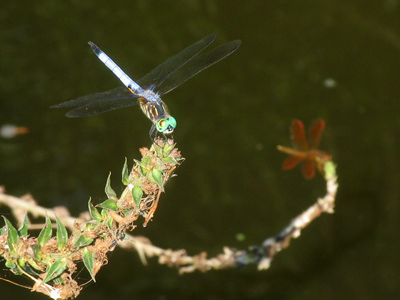 So people sometimes suggest I take a break from the demanding routine and stop taking five photos a day.