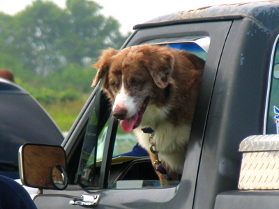 Not old enough to drive.