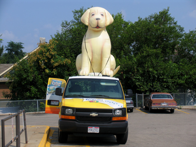 I warned him what would happen if he kept chewing on the seats.