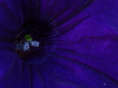 Images from a distant galaxy.