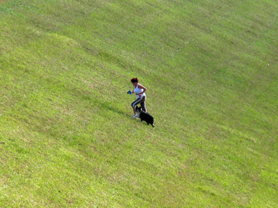 The poor dog is thinking, `But I don`t need to lose weight.`