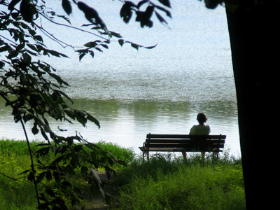 I never found the companion that was so companionable as solitude. HENRY DAVID THOREAU