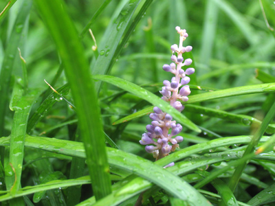 In case you didn`t believe the previous caption.