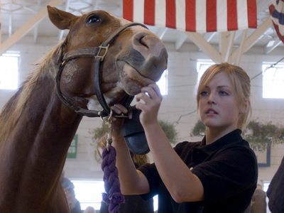 That girl still hasn`t gotten her horse clean (see September 5, 2004, and September 4, 2005).