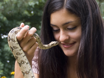 Meet Emerson`s personal assistant.