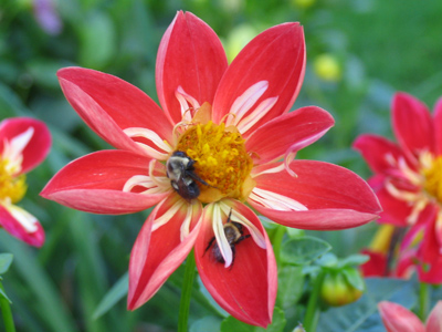 They`re in for the night.