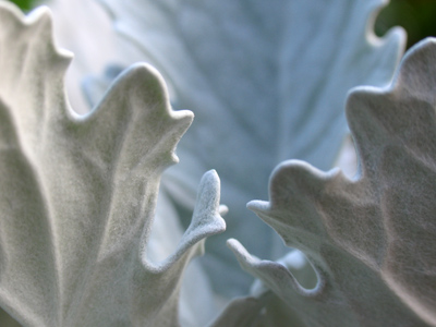 Where yogurt-covered pretzels come from.