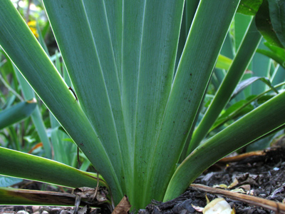 I endured thorns and mosquitoes for this shot.  You`re welcome.