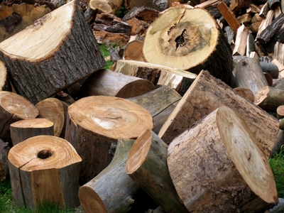 I`M GONNA TAKE YOU OUT TO THE WOODPILE IF YOU DON`T STRAIGHTEN UP!