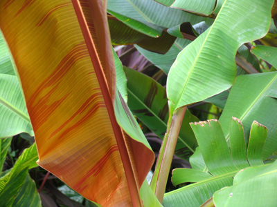 And me, without my machete.