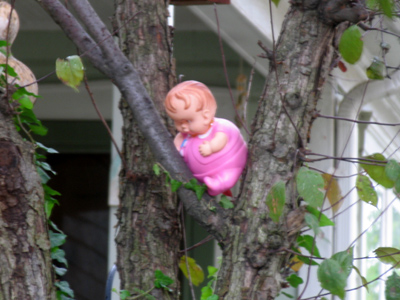 I told you to get down from there RIGHT NOW!