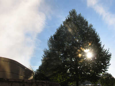 Okay, this one needs some explanation: there`s a steam vent on the left, a tree on the right, and the sun behind...