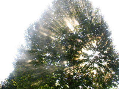 Put them together (with an observant photographer, of course) and here`s what you get.