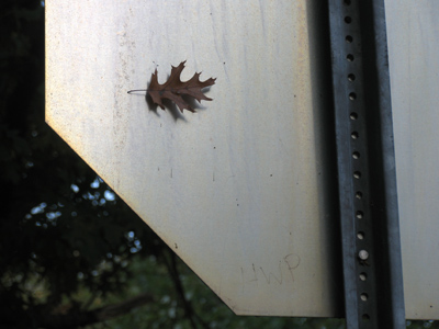 Do not go gentle into that good night.  DYLAN THOMAS