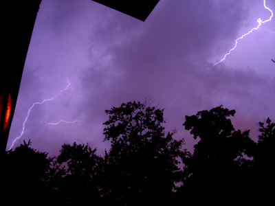 Quick, get the kite!