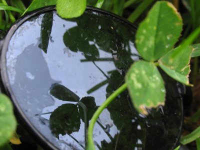 Did you ever see that movie `Strangers on a Train`?