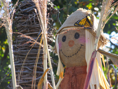 I wasn`t scared.  Really.