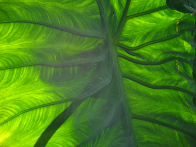 This is in a similar vein [get it?] to October 2, 2005.