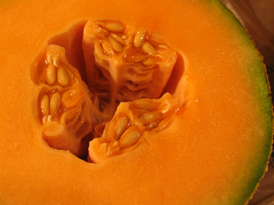 It`s a church wedding, or nothing.  We can`t elope!