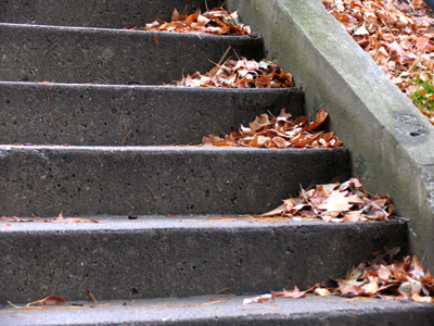 Trees stay, but the leaves leave.