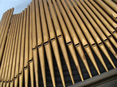 I`ve wanted to get this shot for about three years.