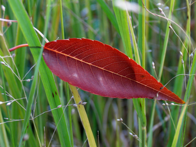 Fall isn`t just a season -- it`s a verb.