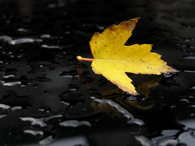 `There he goes again.  Lookit that guy!  Takin` pitchers on top of his own car.`
