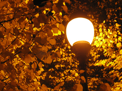 Photographers out there will be interested to know that I `handheld` this shot.