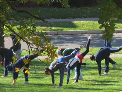 The leaf blower`s broken.