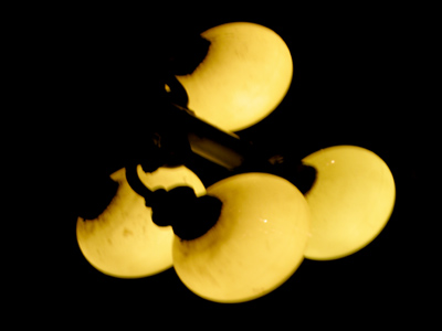 All of today`s pictures are reflections in my car windshield.