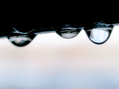 Hanging around the bike rack.