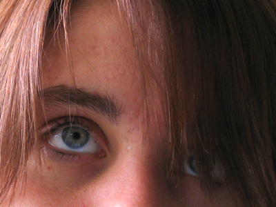 Today I was told that my lunch was `like what a bonobo would eat.`