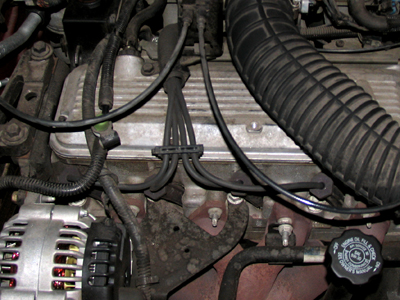 I paid $458 for these wires, so you`re going to LOOK at them, and you`re going to LIKE them.