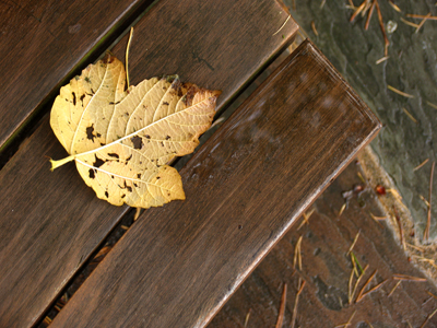 When the wind blew, I was drizzled upon by dead pine needles.