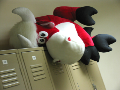 Somehow he`s moved since November 6.